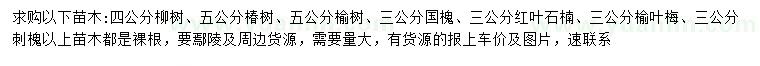 求购柳树、椿树、榆树等