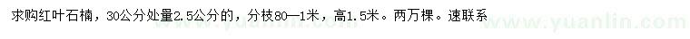 求购30公分量2.5公分红叶石楠