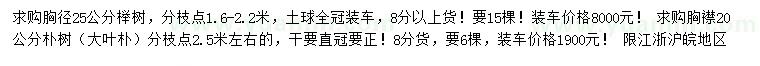 求购胸径20、25公分榉树