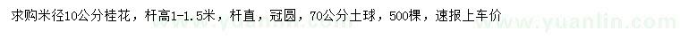 求购米径10公分桂花