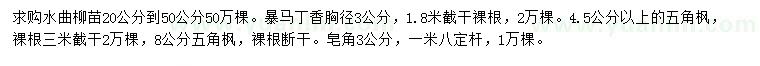 求购水曲柳苗、暴马丁香、五角枫等