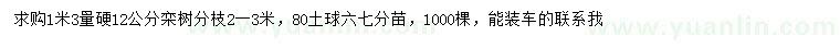 求购1.3米量硬12公分栾树