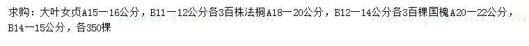 求购大叶女贞、法桐、国槐