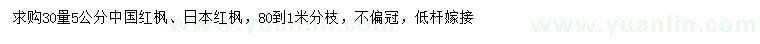 求购30公分量5公分中国红枫、日本红枫