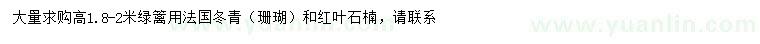 求购高1.8-2米法国冬青（珊瑚）、红叶石楠