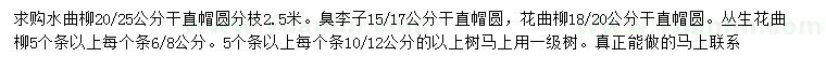 求购水曲柳、臭李子、花曲柳等