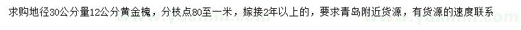 求购地径30公分量12公分黄金槐