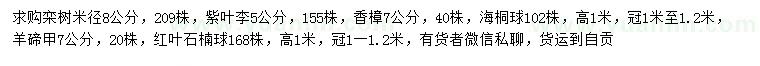 求购栾树、紫叶李、香樟等