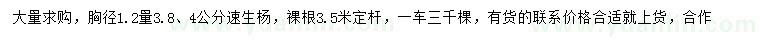 求购胸径1.2米量3.8、4公分速生杨