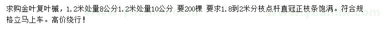 求购1.2米量8、10公分叶复叶槭