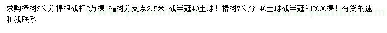 求购3、7公分椿树、3公分榆树