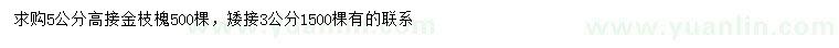 求购5公分高接金枝槐、3公分矮接金枝槐