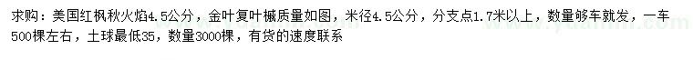 求购米径4.5公分美国红枫秋火焰、金叶复叶槭