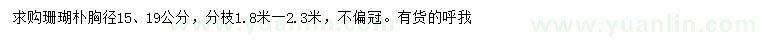 求购胸径15、19公分珊瑚朴