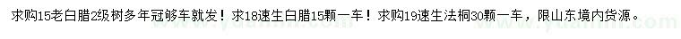 求购老白腊、速生白腊、速生法桐