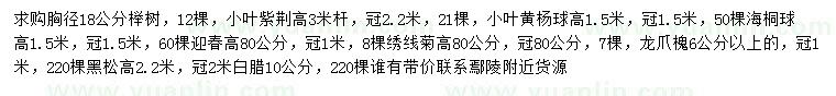 求购榉树、小叶黄杨球、海桐球等