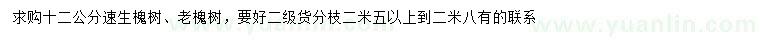 求购12公分速生槐树、老槐树