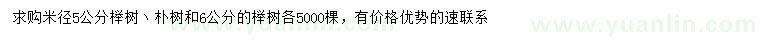 求购米径5、6公分榉树丶5公分朴树