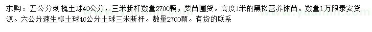 求购刺槐、黑松、速生柳