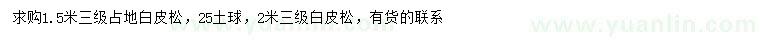 求购1.5、2米占地白皮松