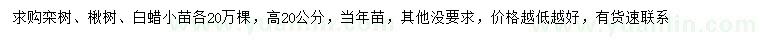 求购栾树小苗、楸树小苗、白蜡小苗