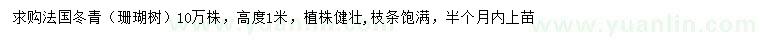 求购高1米法国冬青（珊瑚树）