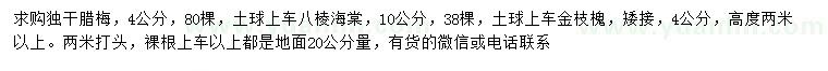 求购4公分独干腊梅、10公分金枝槐