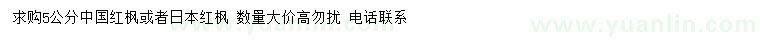 求购5公分中国红枫、日本红枫