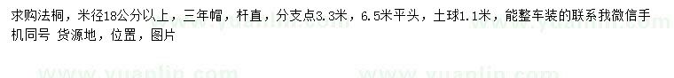 求购米径18公分以上法桐