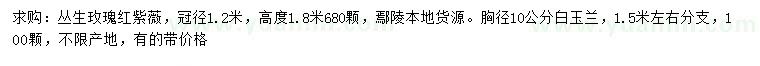 求购高1.8米丛生玫瑰红紫薇、胸径10公分白玉兰