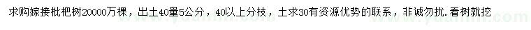 求购40公分量5公分嫁接枇杷树