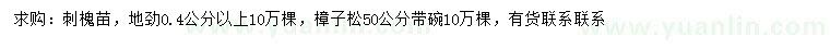 求购地径0.4公分以上刺槐苗、50公分樟子松