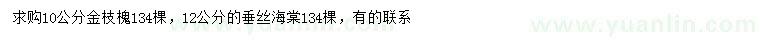 求购10公分金枝槐、12公分垂丝海棠