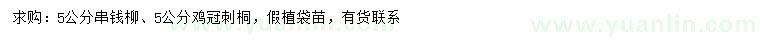 求购5公分串钱柳、鸡冠刺桐