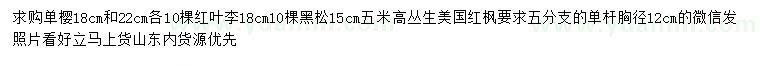 求购单樱、红叶李、黑松等