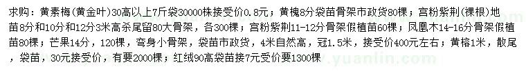 求购黄素梅、黄槐、宫粉紫荆等