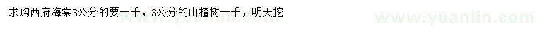 求购3公分西府海棠、山楂树