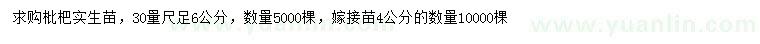 求购30公分量足4、6公分枇杷实生苗