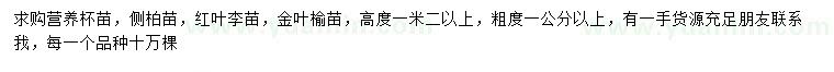 求购侧柏苗、红叶李苗、金叶榆苗