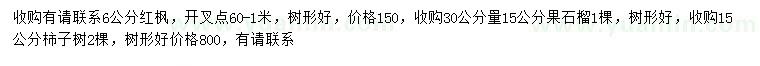 求购红枫、果石榴、柱子树