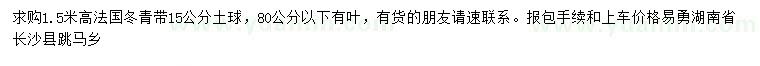 求购高1.5米法国冬青