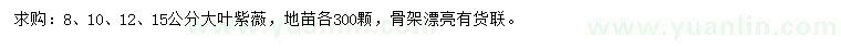 求购8、10、12、15公分大叶紫薇