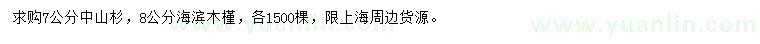 求购7公分中山杉、8公分海滨木槿