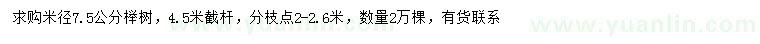 求购米径7.5公分榉树