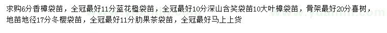 求购香樟、蓝花楹、深山含笑等