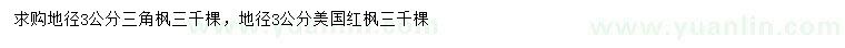 求购地径3公分三角枫、美国红枫