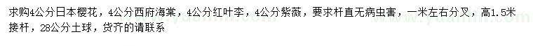 求购日本樱花、西府海棠、红叶李等