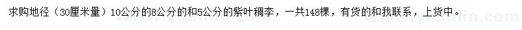 求购地径30公分量5、8、10公分紫叶稠李绿化苗木