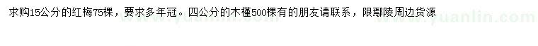 求购15公分红梅、4公分木槿