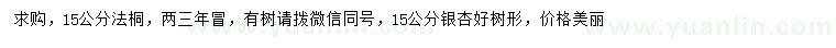 求购15公分法桐、银杏